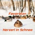 Minicover Herzerl In Schnee (CD Edition)